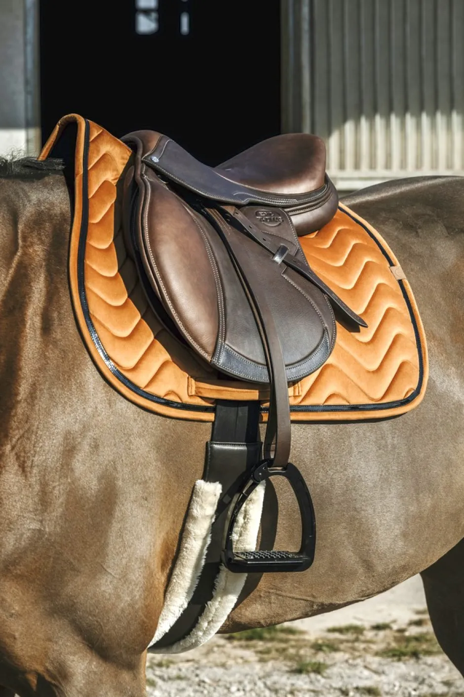 EQUITHÈME Glossy Schabracke
