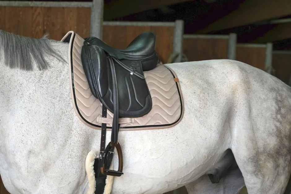 EQUITHÈME Glossy Schabracke