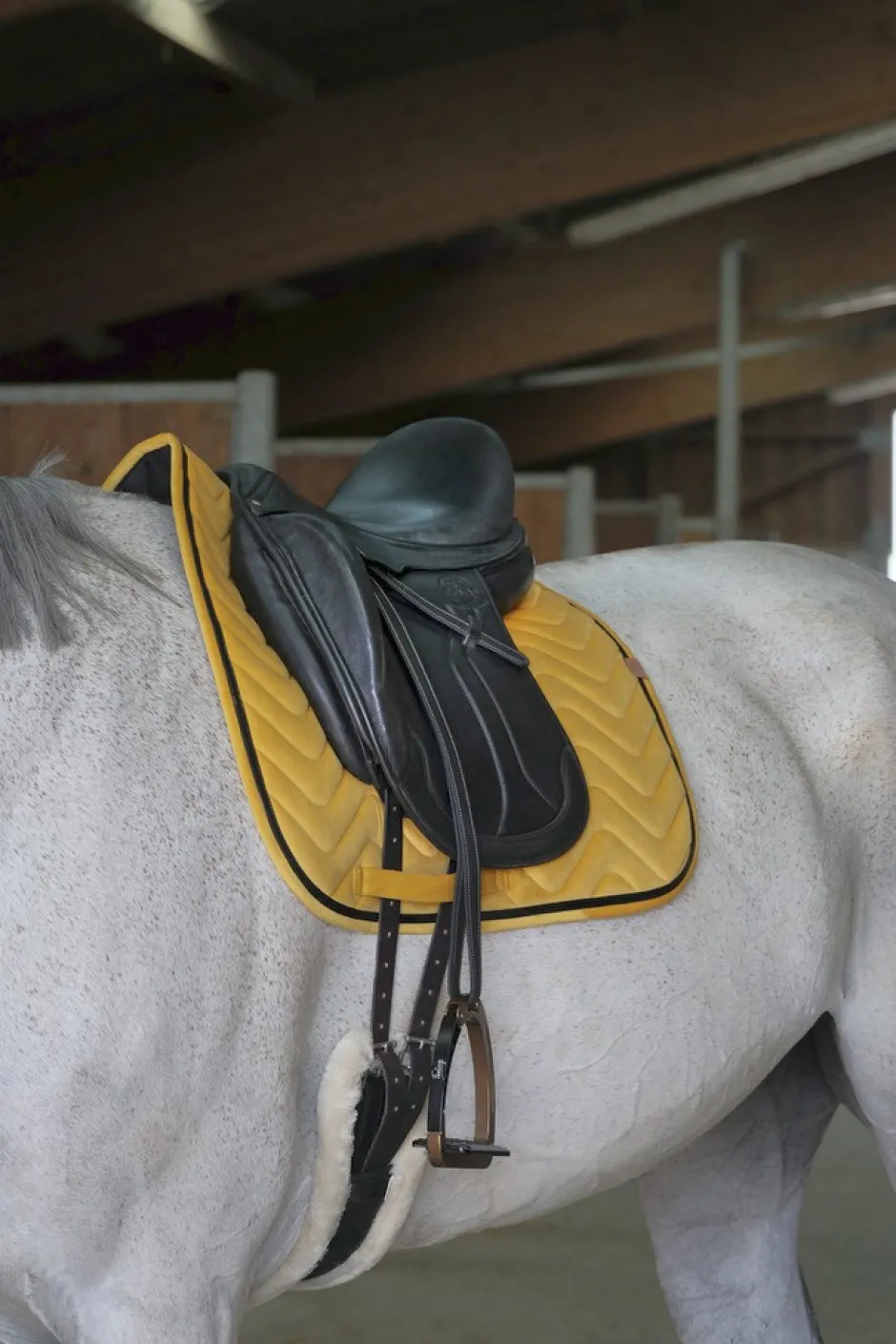 EQUITHÈME Glossy Schabracke