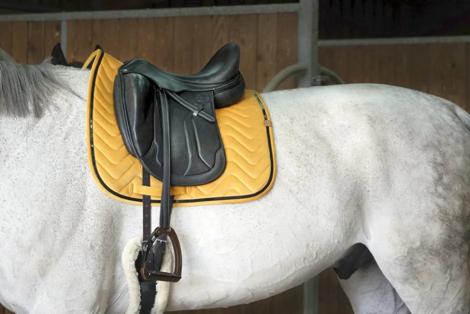 EQUITHÈME Glossy Schabracke