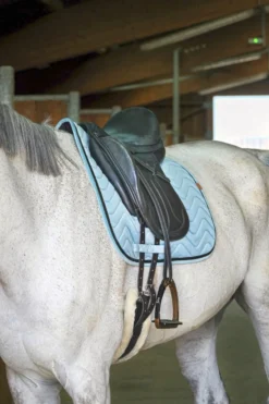 EQUITHÈME Glossy Schabracke