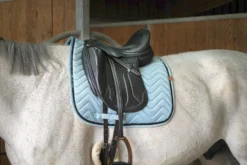 EQUITHÈME Glossy Schabracke