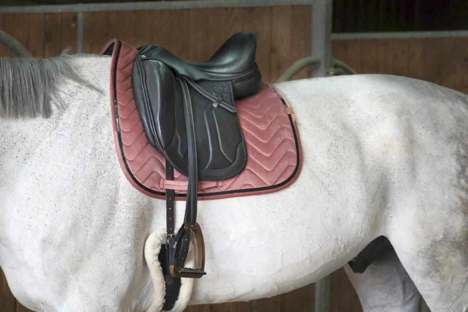 EQUITHÈME Glossy Schabracke