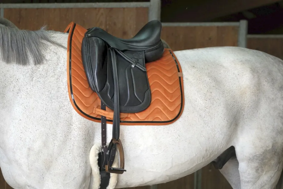 EQUITHÈME Glossy Schabracke
