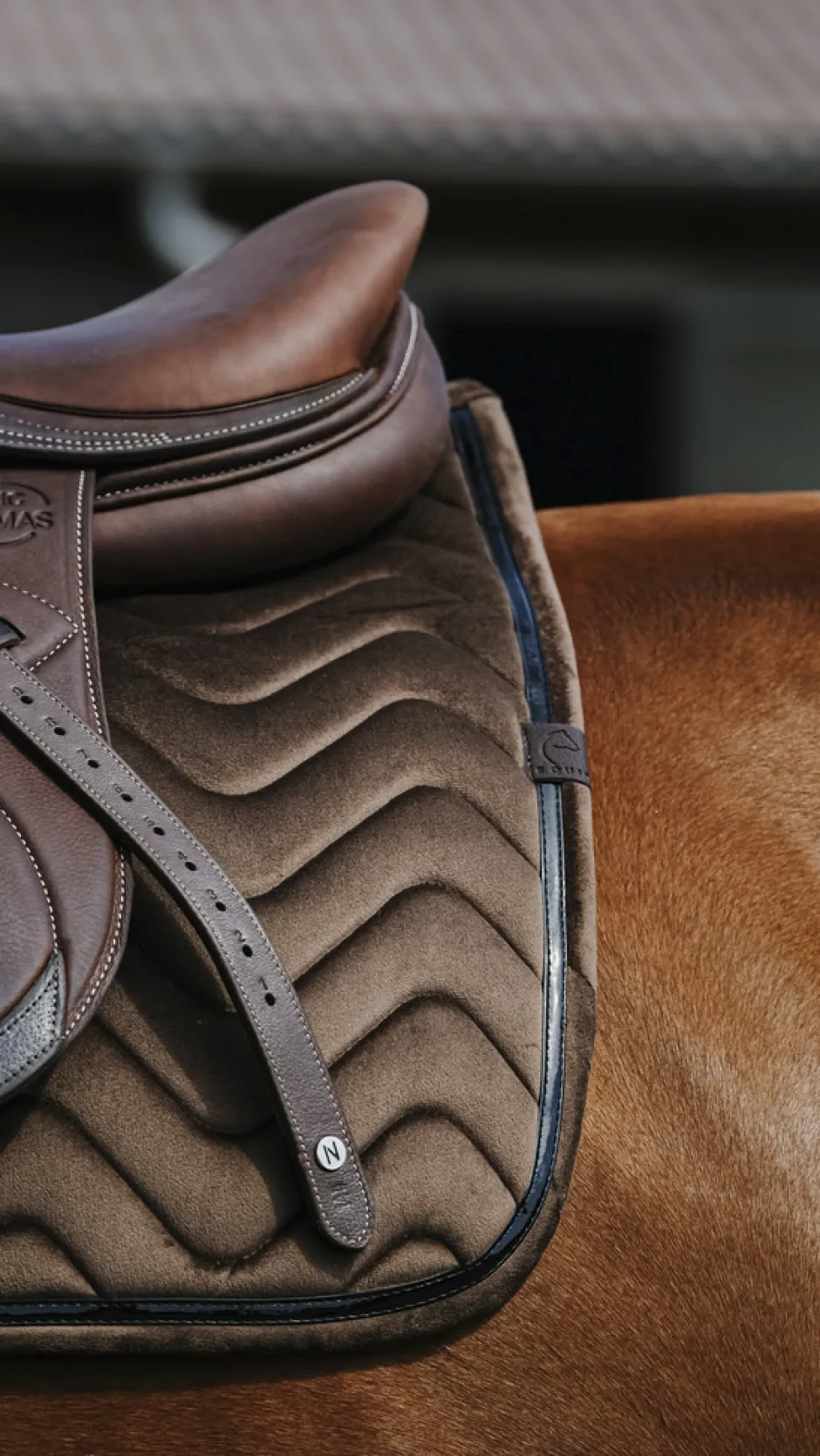 EQUITHÈME Glossy Schabracke