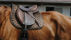 EQUITHÈME Glossy Schabracke