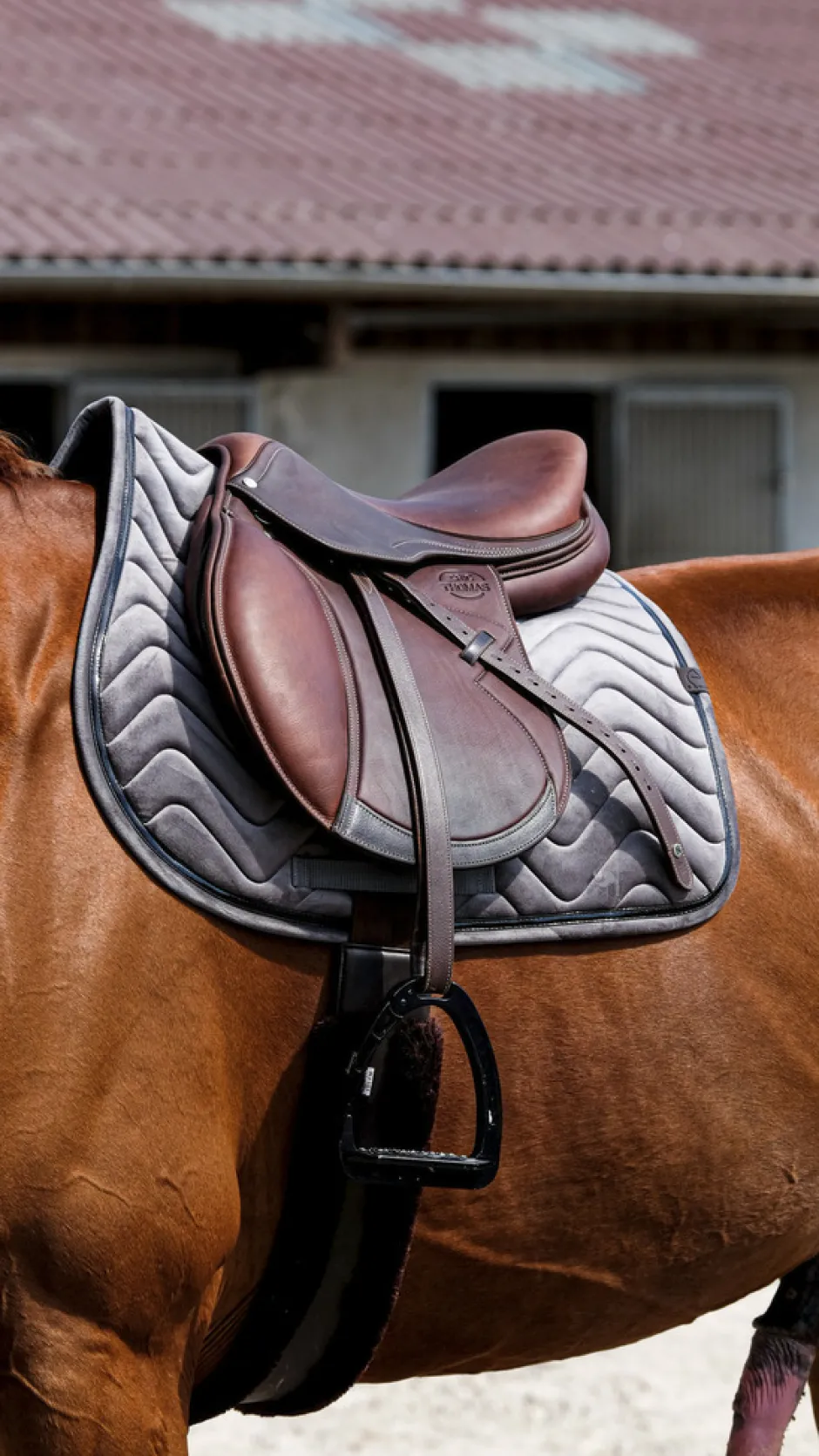 EQUITHÈME Glossy Schabracke