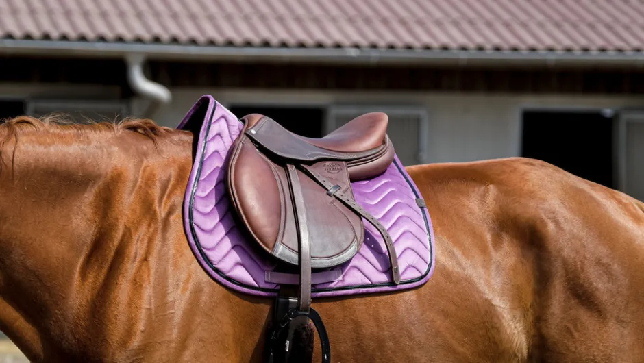 EQUITHÈME Glossy Schabracke