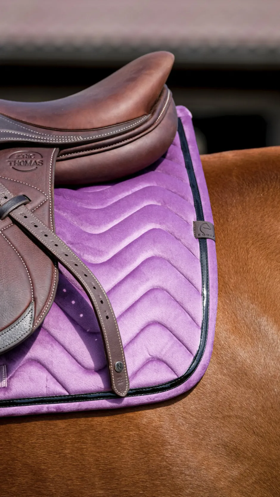 EQUITHÈME Glossy Schabracke