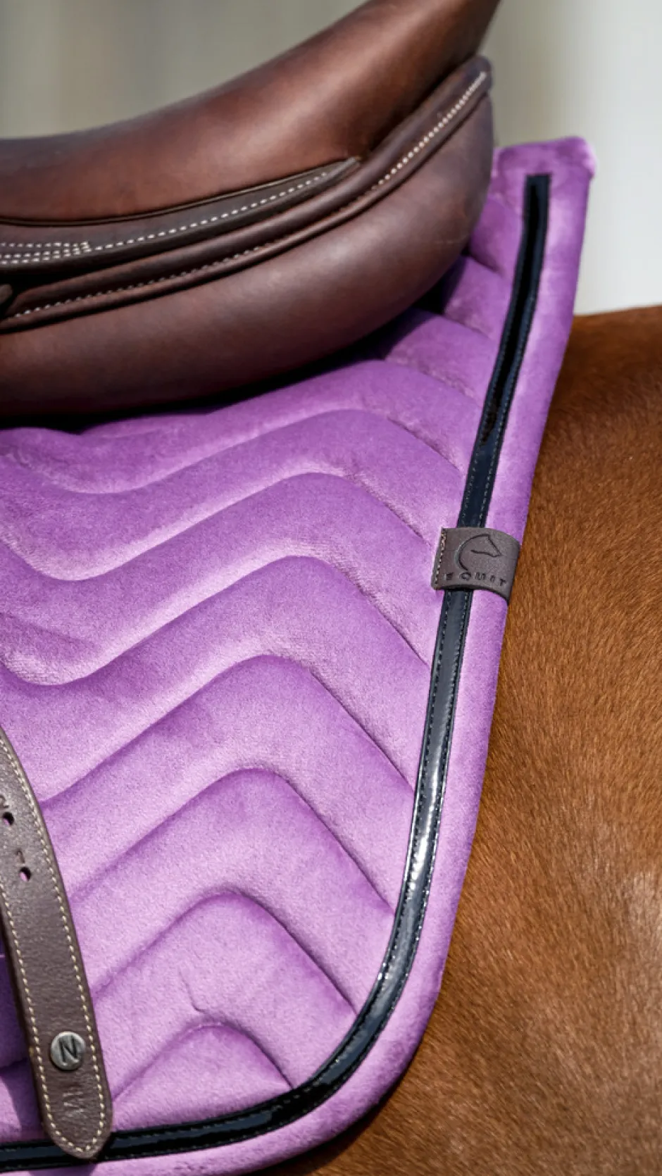 EQUITHÈME Glossy Schabracke