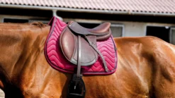 EQUITHÈME Glossy Schabracke