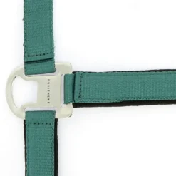 EQUITHÈME Halfter Air