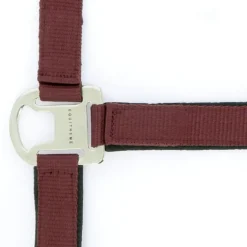 EQUITHÈME Halfter Air