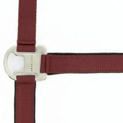 EQUITHÈME Halfter Air
