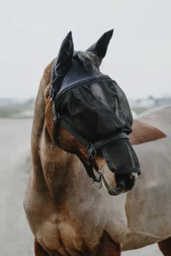 EQUITHÈME Halfter + Antifliegenmaske