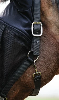 EQUITHÈME Halfter + Antifliegenmaske