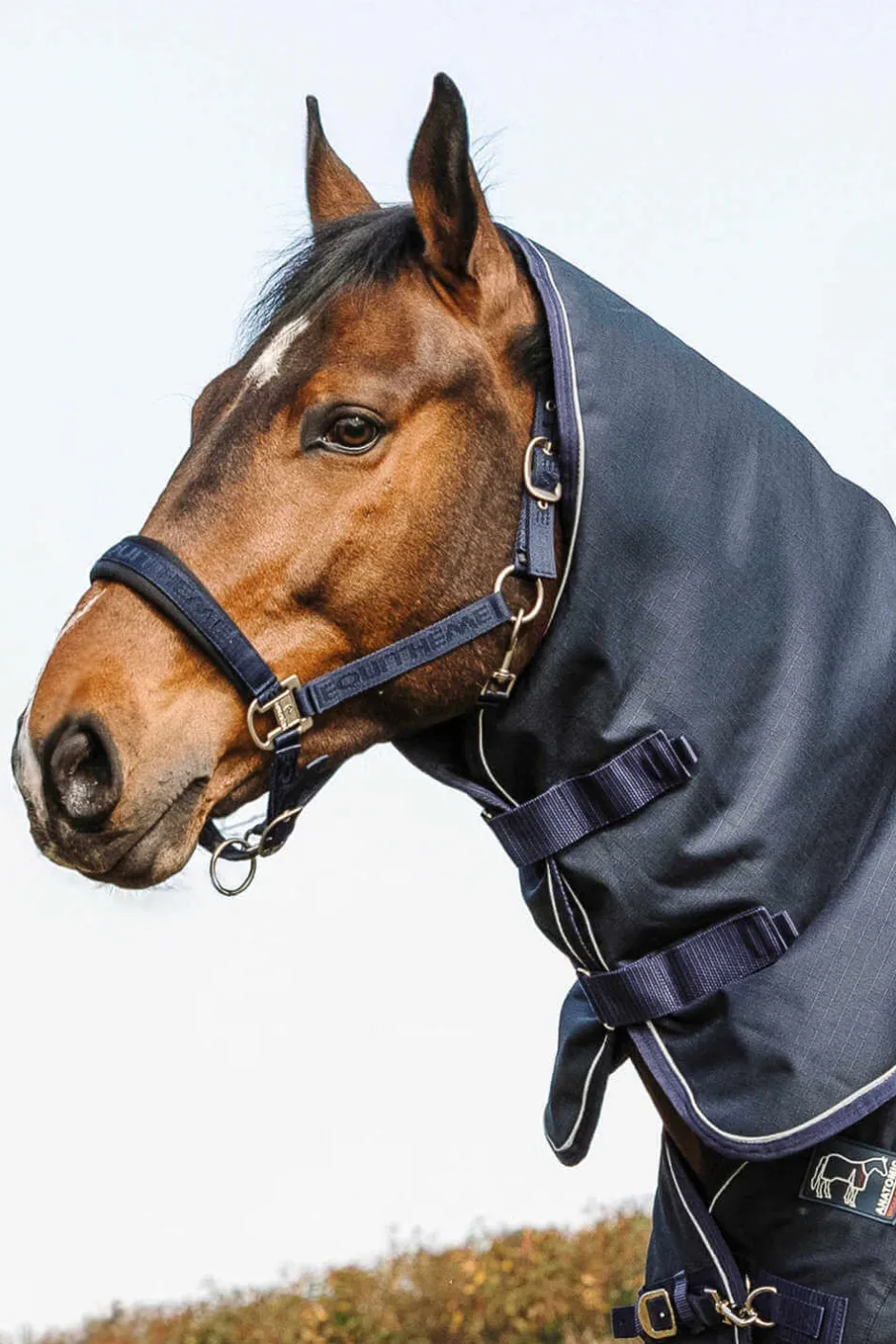 EQUITHÈME Halsteil - Anatomic 1200D