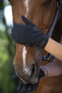 EQUITHÈME Handschuhe „Knit