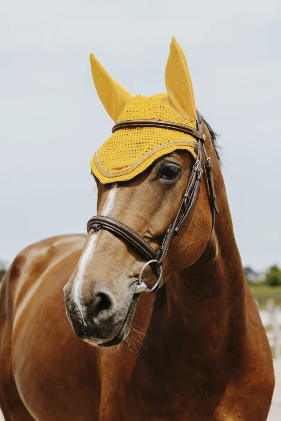 EQUITHÈME - Hexalight - Fliegenhaube