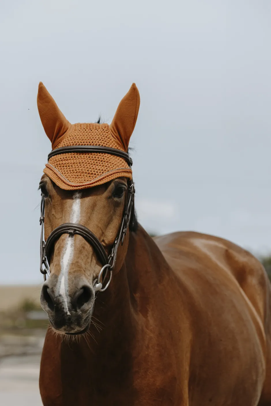 EQUITHÈME - Hexalight - Fliegenhaube