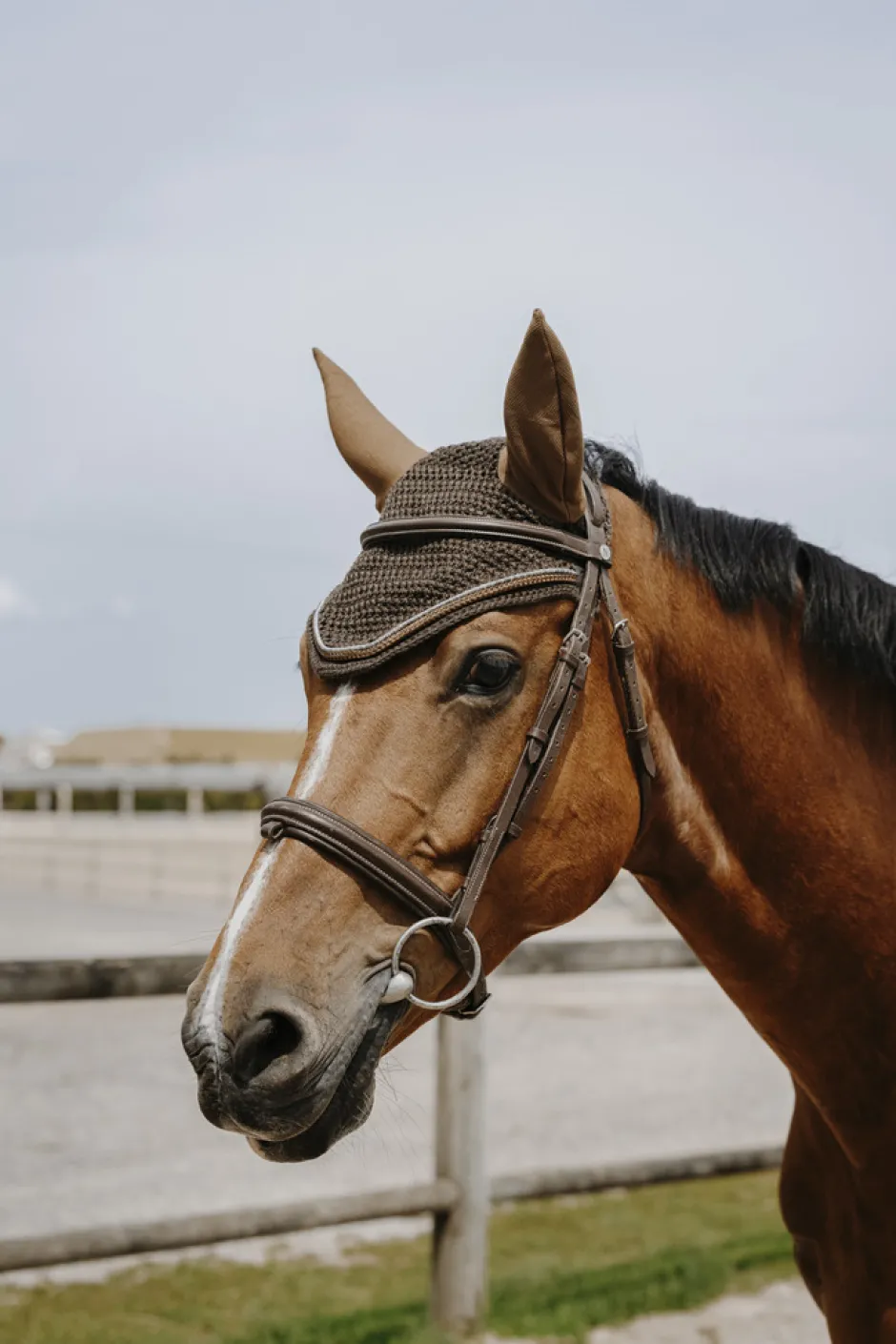 EQUITHÈME - Hexalight - Fliegenhaube