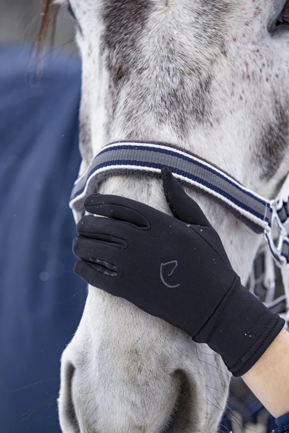 EQUITHÈME „Hiver Digital Reithandschuhe