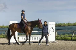EQUITHÈME Hugo Blouson Wasserdicht