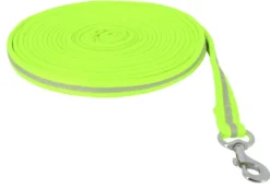 EQUITHÈME Longe High Visibility