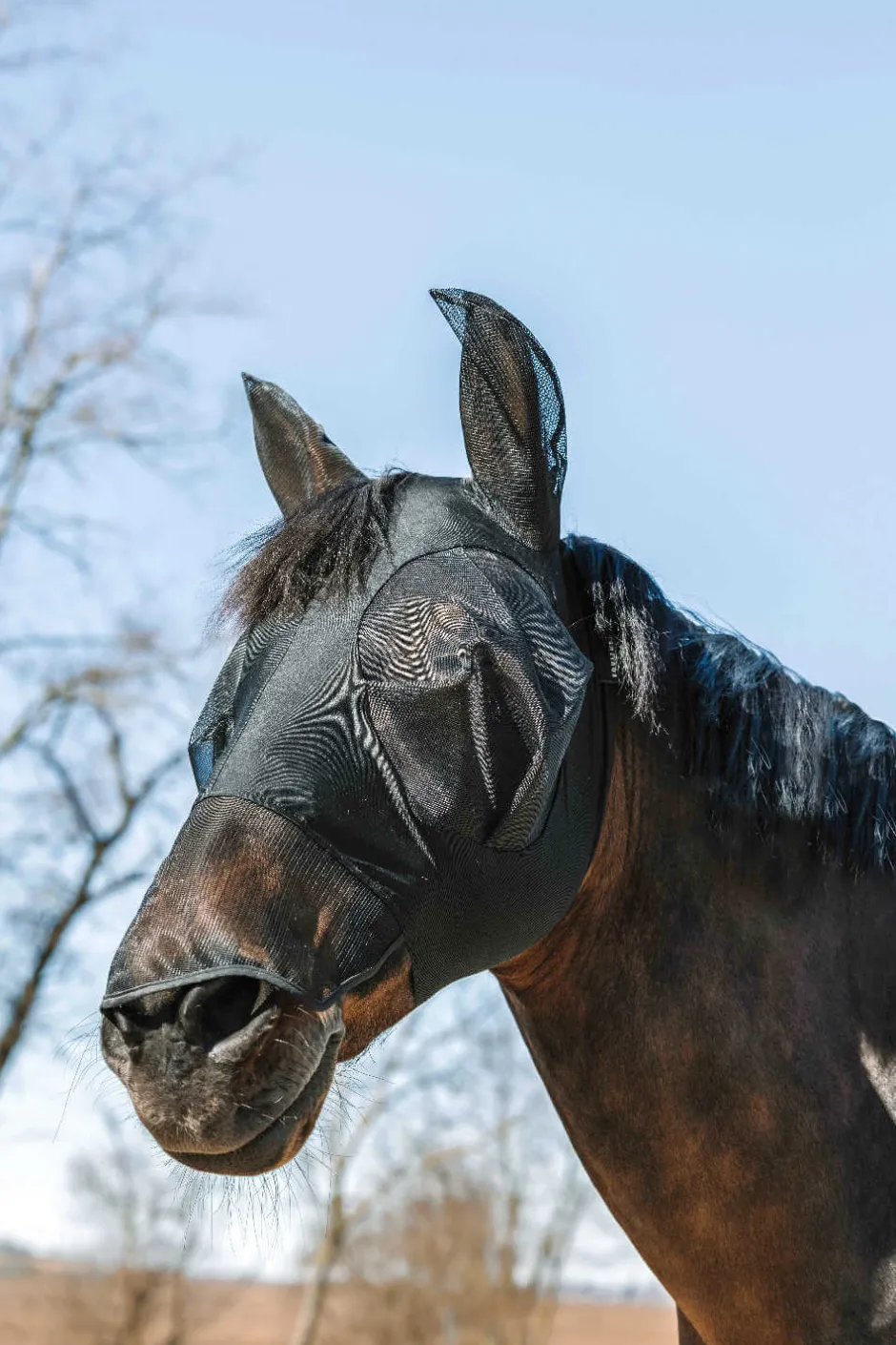 EQUITHÈME - Lycra - Fliegen-/UV-Maske + Nase