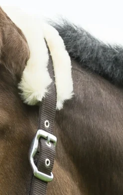 EQUITHÈME „Mouton synthétique“ Halfter mit synthetischem Lammfell