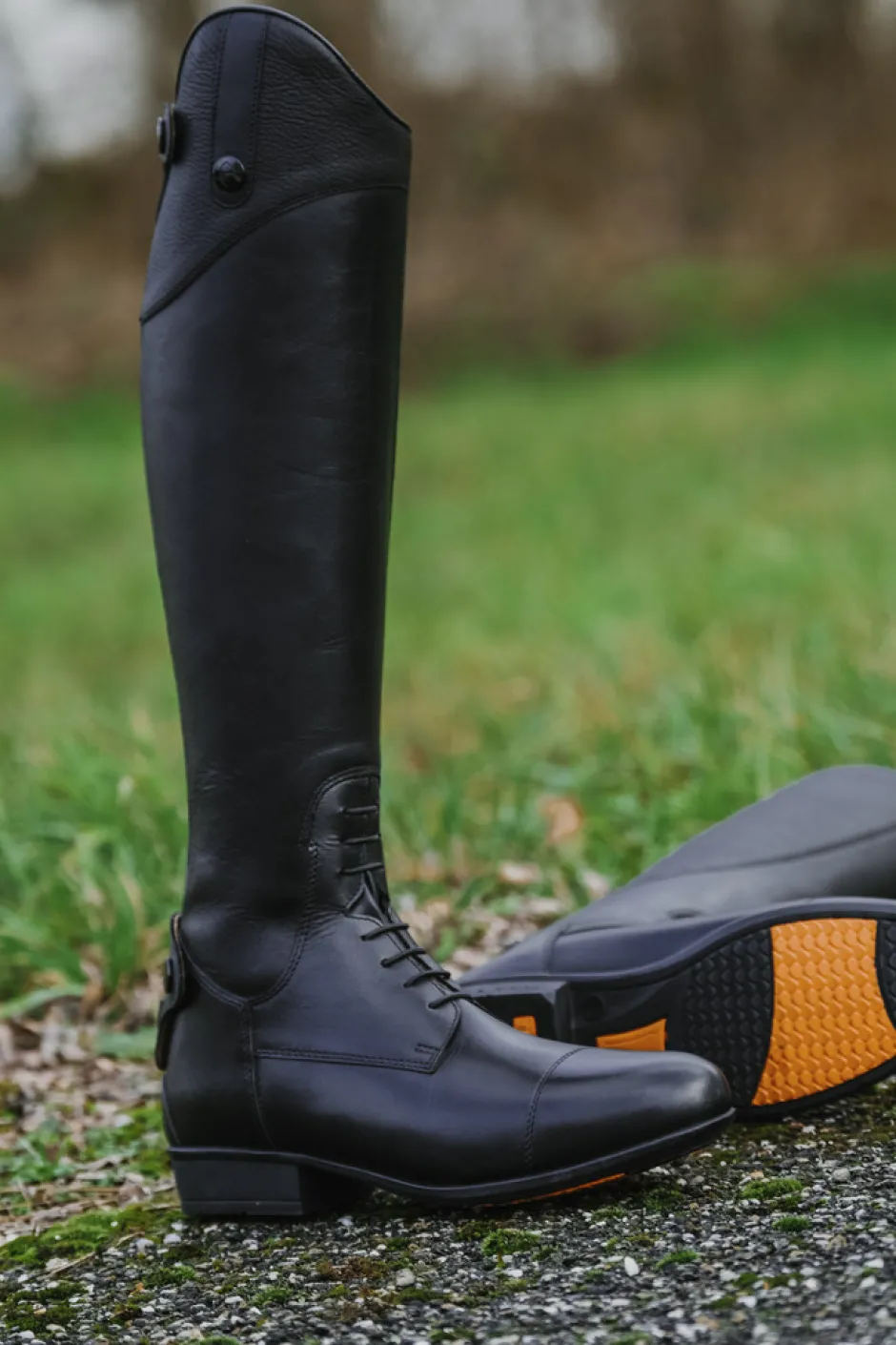 EQUITHÈME - New Primera - Stiefel