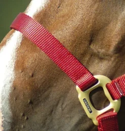 EQUITHÈME Nylonhalfter