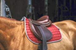 EQUITHÈME Orion Schabracken
