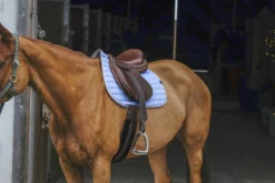 EQUITHÈME Orion Schabracken