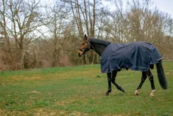 EQUITHÈME Outdoordecke - Anatomic 1200D