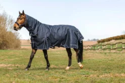 EQUITHÈME Outdoordecke 0 g - Anatomic Combo 1200D