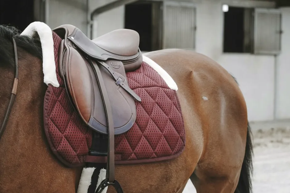 EQUITHÈME Pro air Schabracke