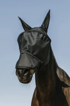 EQUITHÈME - Protec - Fliegen-/UV-Maske