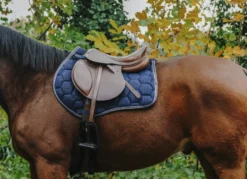 EQUITHÈME Quadri Sattelpad