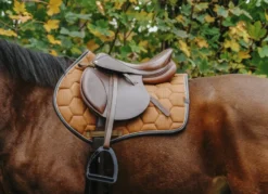 EQUITHÈME Quadri Sattelpad