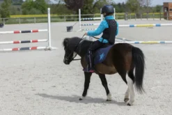 EQUITHÈME Rückenprotektor „Mesh“