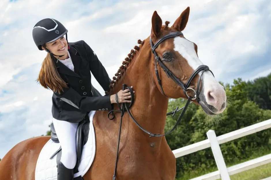 EQUITHÈME Reithelm „Insert Mesh“