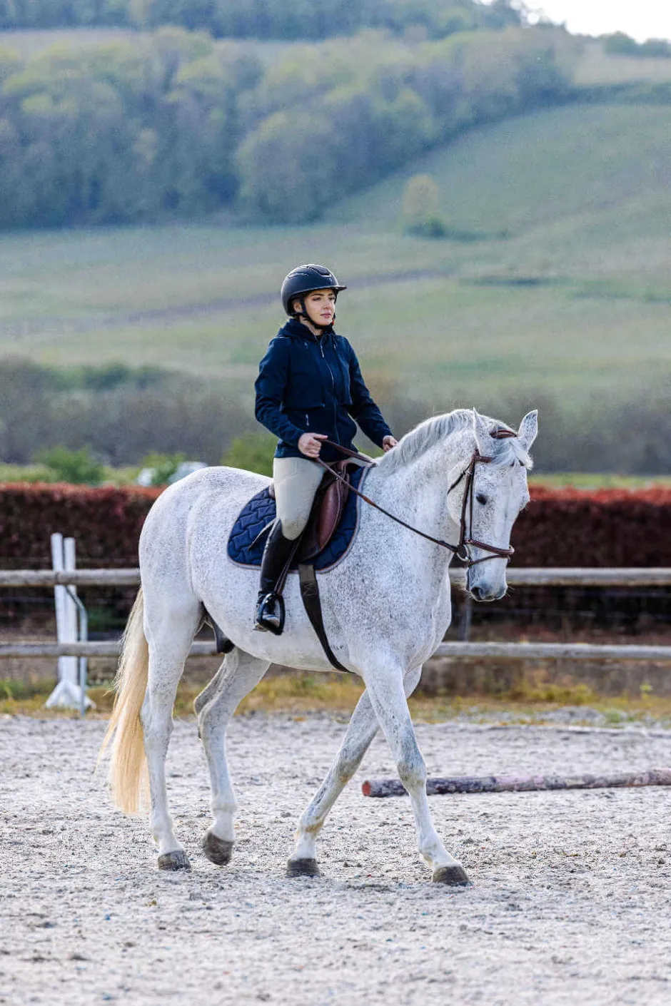 EQUITHÈME Reitleggings - Acacia