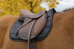 EQUITHÈME Satin Schabracke