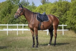 EQUITHÈME Satteldecke Polyfun