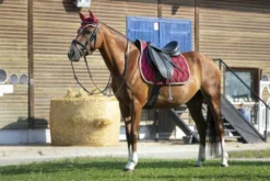 EQUITHÈME Satteldecke Polyfun
