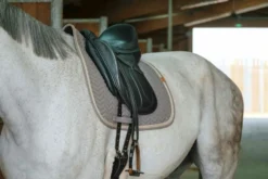 EQUITHÈME Softy Schabracke