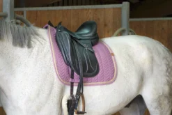EQUITHÈME Softy Schabracke