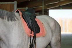 EQUITHÈME Softy Schabracke