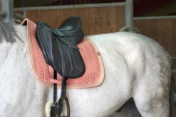 EQUITHÈME Softy Schabracke